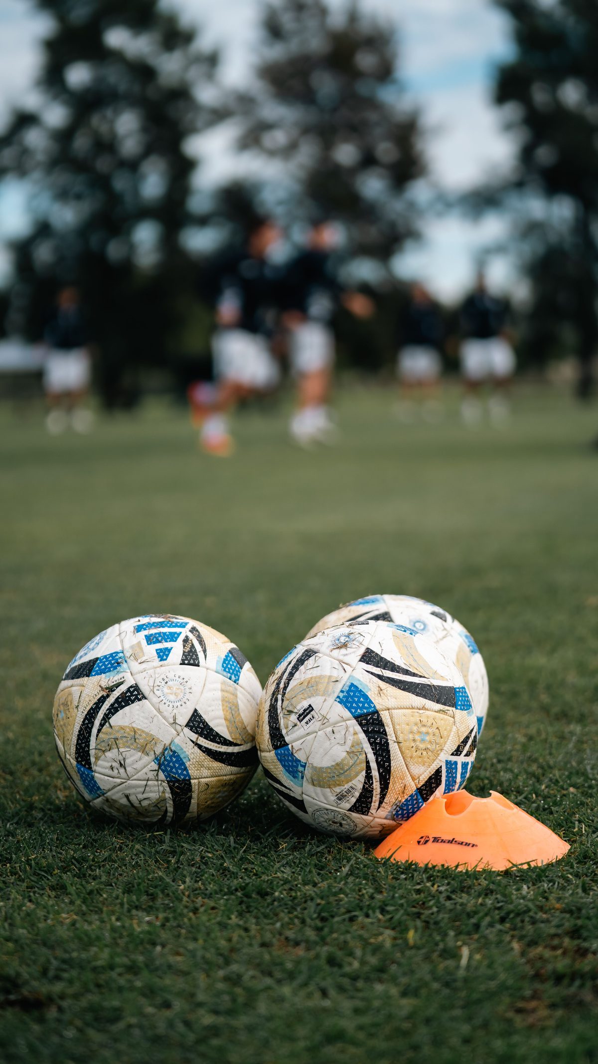 Ballons et plots lors d'une séance d'entraînement